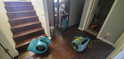 Basement Restoration Service in Gilbert, AZ
