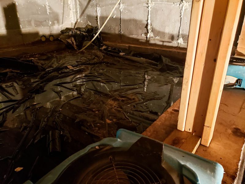 Crawlspace Water Cleanup in Chandler, AZ