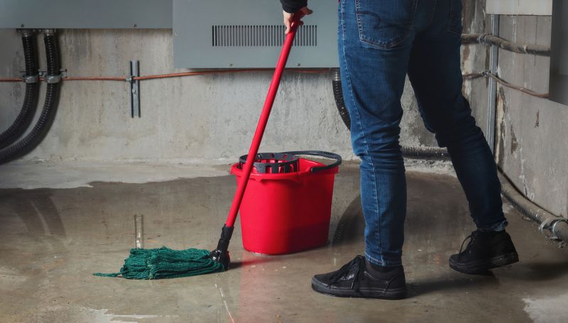 Flooded Basement Cleanup in Scottsdale, AZ