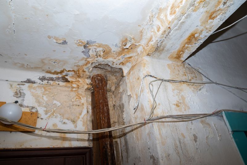 Storm Damage Cleanup in Scottsdale, AZ