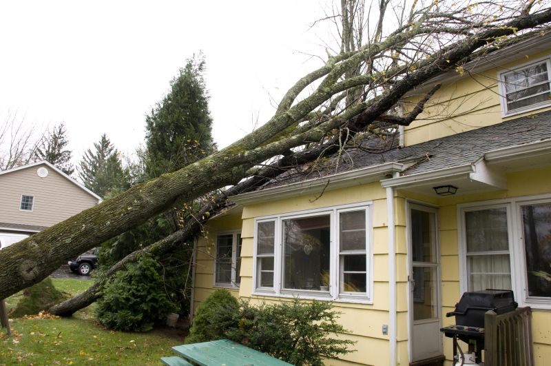 Storm Recovery Service in Phoenix, AZ