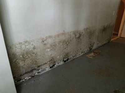 Prevent Mold in Basement