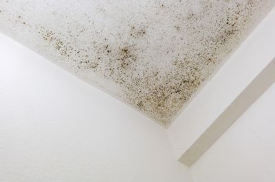 Prevent Mildew