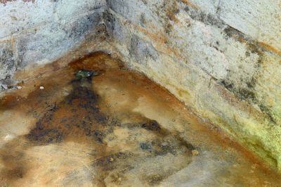 Keep Mold Out